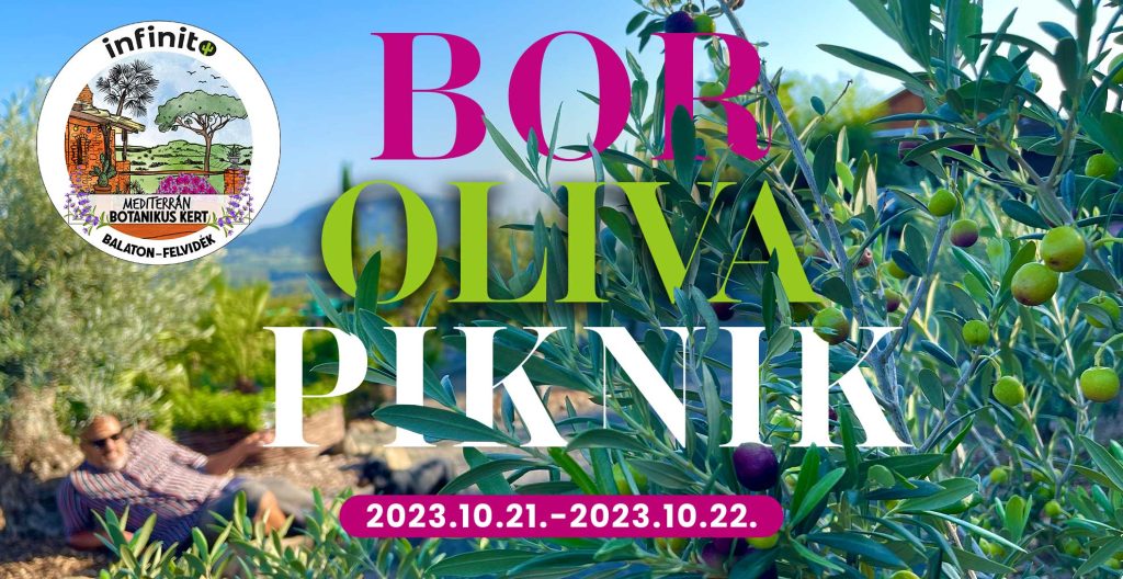 Esemény a Balaton-felvidéken: Bor, Oliva, PIknik Taberna Infinito balatoni étterem
