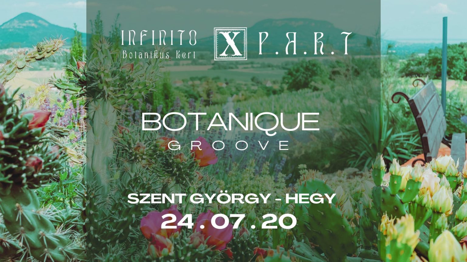 botanique-groov-balatoni-mediterrán-bontaikus-kert-infinito-2024.07.020.