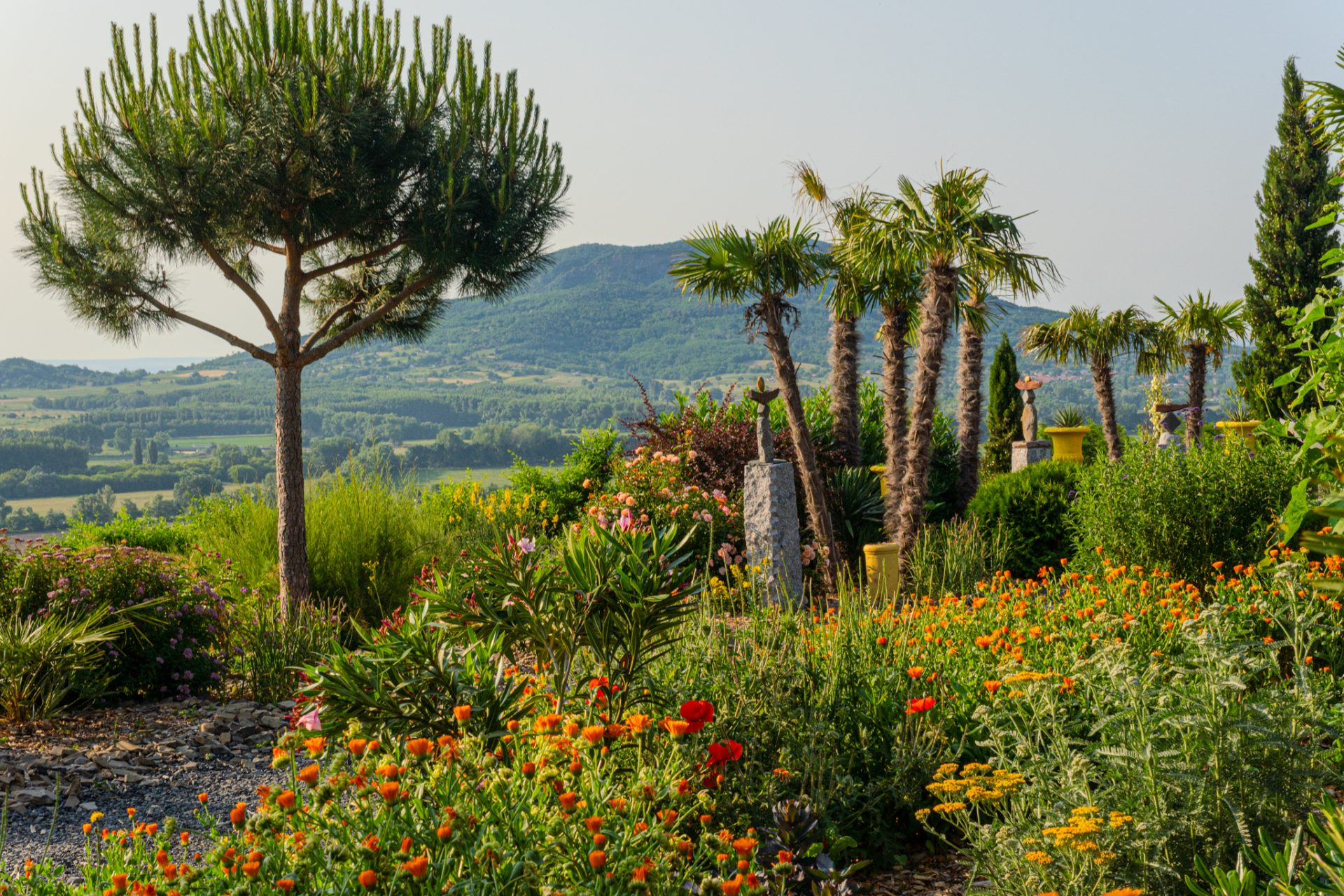 balatoni-mediterrán-botanikus-kert-5