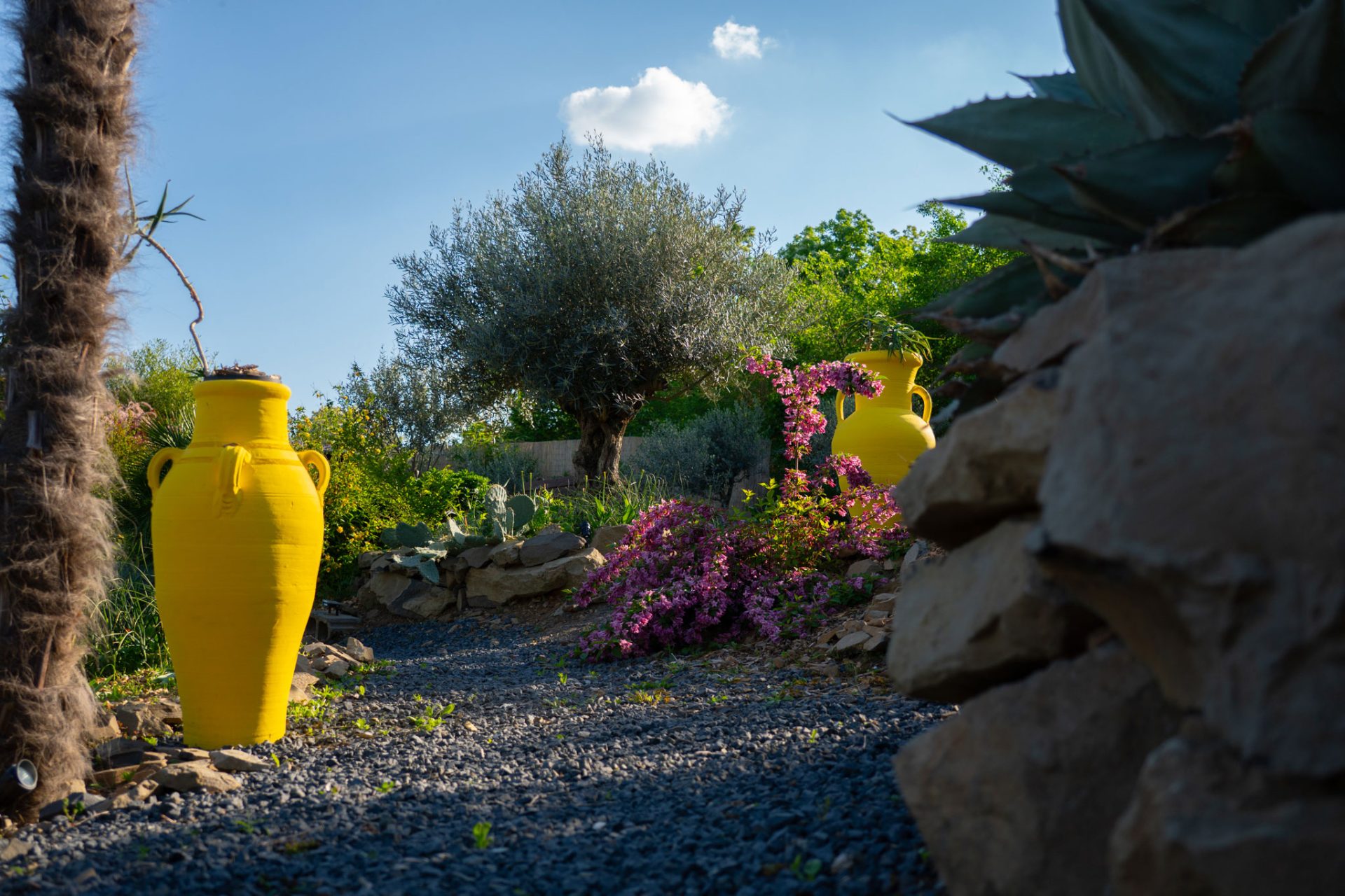 balatoni-mediterrán-botanikus-kert-7