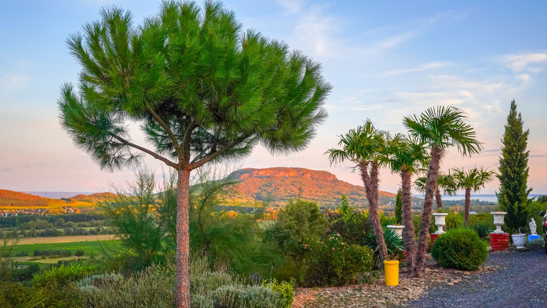 taberna-infinito-balatoni-panoráma-étterem-és-botanikus-kert-9